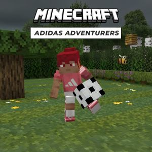 Minecraft Adidas Adventurers Logo